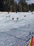 2019-01-27 11.44.59