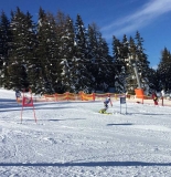 2019-01-27 11.53.31-2