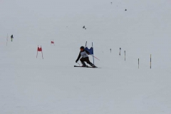 IMG_1135