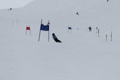 IMG_0714