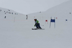 IMG_0734