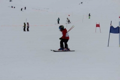 IMG_0785