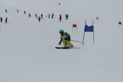 IMG_0799
